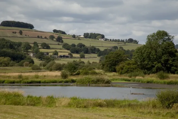 Framed Print : View of wetland habitat and pasture on hillside, Wyver Lane, Derbyshire Wildlife Trust Reserve, Derwent Valley Framed Print : View of wetland habitat and pasture on hillside, Wyver Lane, Derbyshire Wildlife Trust Reserve, Derwent Valley