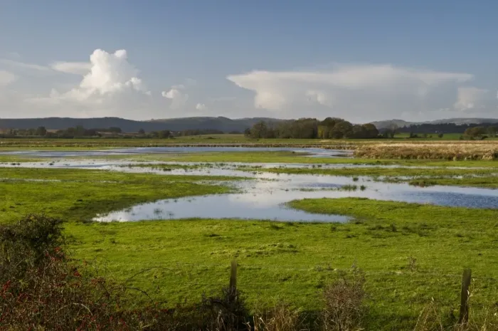 Framed Print : View of wetland habitat, Pulborough Brooks RSPB Reserve, West Sussex, England, november Framed Print : View of wetland habitat, Pulborough Brooks RSPB Reserve, West Sussex, England, november