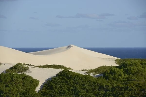 View of white sand dunes and coastal fynbos habitat, De Hoop Nature Reserve, Western Cape, South Africa, February
