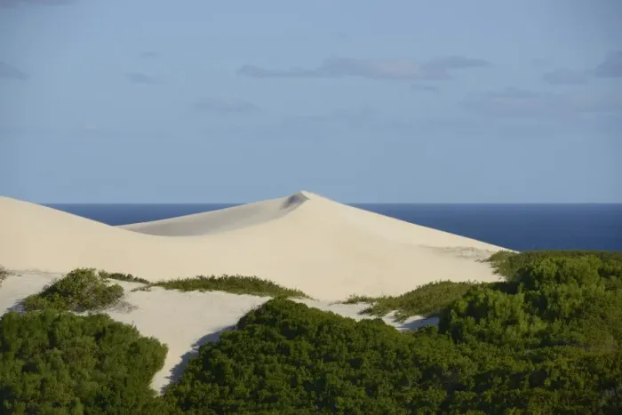 Framed Print : View of white sand dunes and coastal fynbos habitat, De Hoop Nature Reserve, Western Cape, South Africa, February Framed Print : View of white sand dunes and coastal fynbos habitat, De Hoop Nature Reserve, Western Cape, South Africa, February