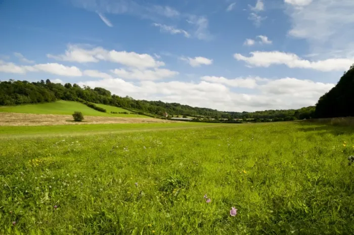 Framed Print : View of wildflower meadow habitat, between Cudham and Downe, North Downs, Kent, England, august