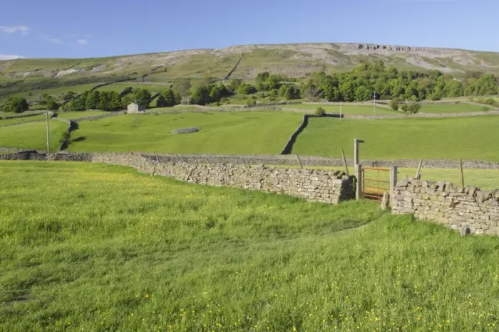 Framed Print : View of wildflower meadows, gate, footpath sign, drystone wall and hillside, Reeth, Swaledale, Yorkshire Dales N. P Framed Print : View of wildflower meadows, gate, footpath sign, drystone wall and hillside, Reeth, Swaledale, Yorkshire Dales N. P