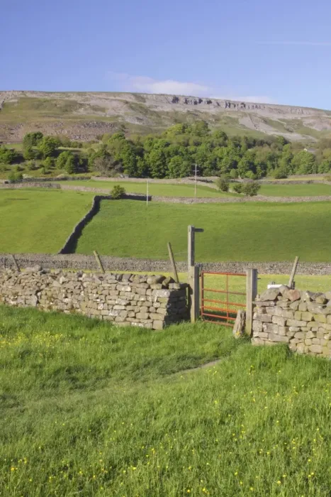 Framed Print : View of wildflower meadows, gate, footpath sign, drystone wall and hillside, Reeth, Swaledale, Yorkshire Dales N. P Framed Print : View of wildflower meadows, gate, footpath sign, drystone wall and hillside, Reeth, Swaledale, Yorkshire Dales N. P