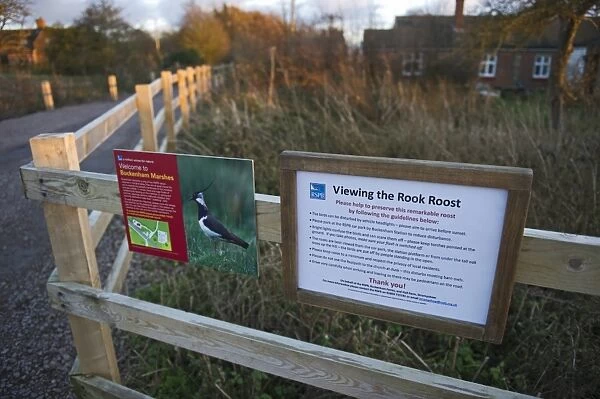 Viewing the Rook Roost guidelines sign, Buckenham Marshes RSPB Reserve, Yare Valley, Norfolk, England, december