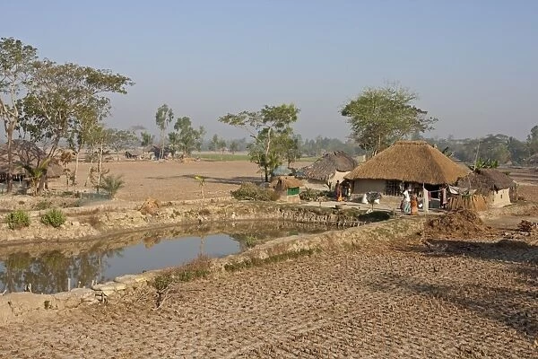 Village water storage pond, house and subsistence fields, Sundarbans, Ganges Delta, West Bengal, India, March