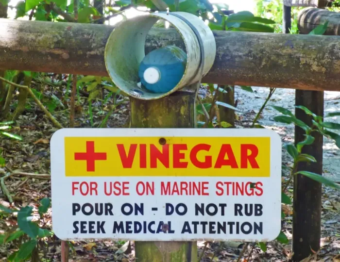 Framed Print : Vinegar for use on marine stings sign and first aid kit, Cape Tribulation, Daintree N. P Framed Print : Vinegar for use on marine stings sign and first aid kit, Cape Tribulation, Daintree N. P