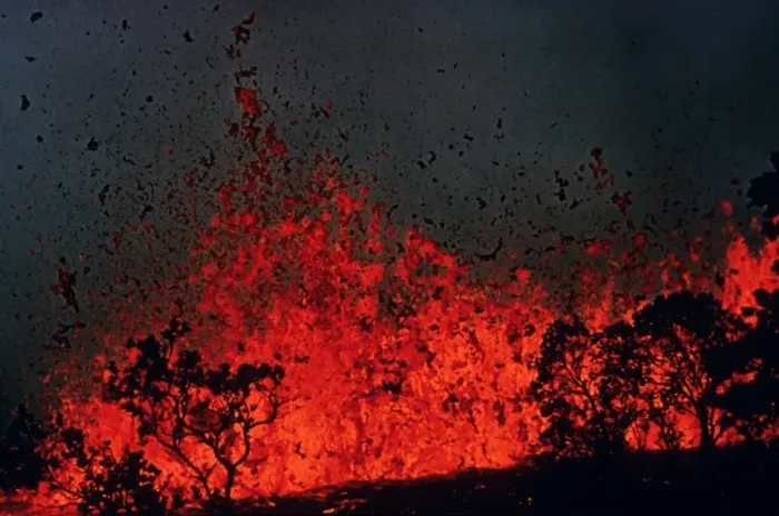 Framed Print : Volcanic eruption, tree silhouetted by molten lava erupting, Mauna Ulu, Big Island, Hawaii (1969 - 1974) Framed Print : Volcanic eruption, tree silhouetted by molten lava erupting, Mauna Ulu, Big Island, Hawaii (1969 - 1974)