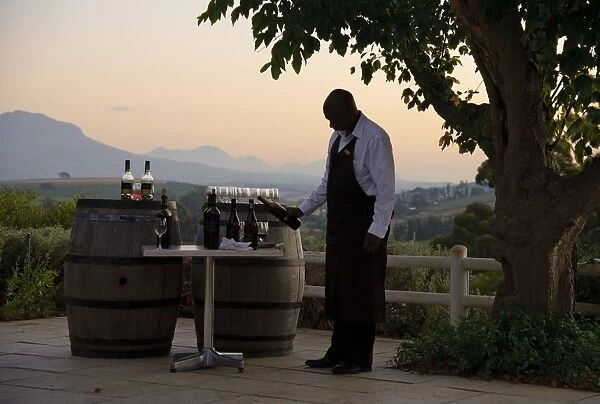 Waiter pouring wine on wine estate at sunset, Devon Valley, Stellenbosch, Western Cape, South Africa