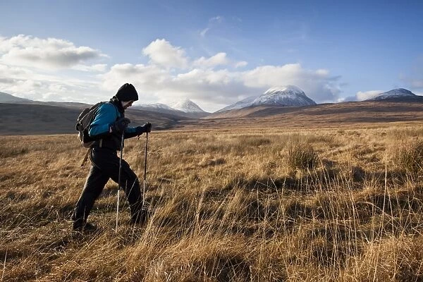 Walker following Evans Walk path on moorland, with snow covered Paps of Jura in background, Isle of Jura