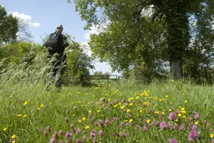 Framed Print : Walker passing through wildflower meadow, near Long Marston, Hertfordshire, England, may Framed Print : Walker passing through wildflower meadow, near Long Marston, Hertfordshire, England, may