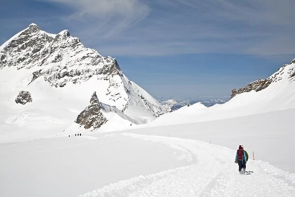 Walkers walking on snow covered mountain, Monchsjoch Hut Trail, Jungfraujoch, Bernese Alps, Switzerland, June