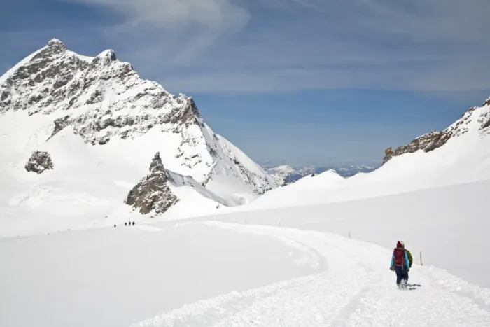 Framed Print : Walkers walking on snow covered mountain, Monchsjoch Hut Trail, Jungfraujoch, Bernese Alps, Switzerland, June Framed Print : Walkers walking on snow covered mountain, Monchsjoch Hut Trail, Jungfraujoch, Bernese Alps, Switzerland, June