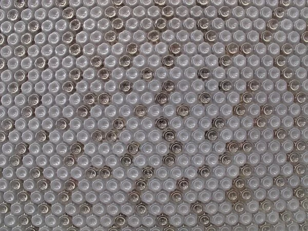 Detail of wall on eco-friendly building, built from recycled plastic bottles, The EcoARK, Taipei, Taiwan, April