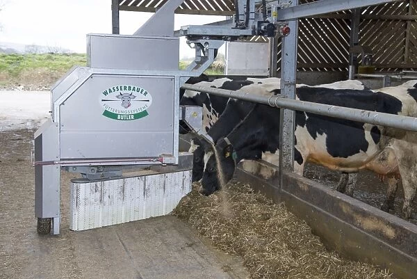 Wasserbauer Butler automatic feeder and scraper on dairy farm, Lancashire, England, February