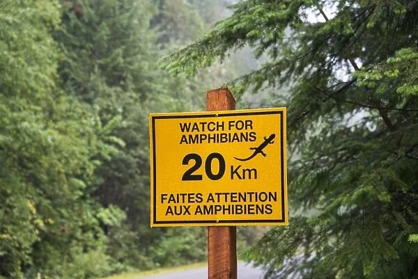 Watch For Amphibians bilingual sign beside road in coniferous forest, Mount Revelstoke N. P