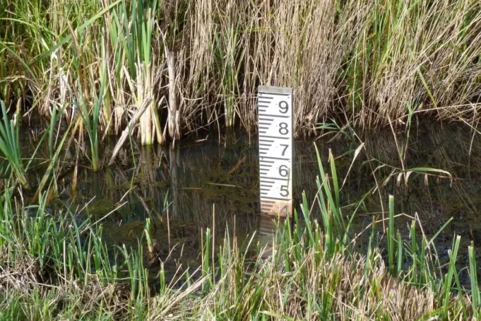 Framed Print : Water depth gauge in marsh RSPB Minsmere Suffolk Framed Print : Water depth gauge in marsh RSPB Minsmere Suffolk