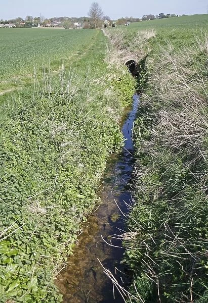Water filled drainage ditch in arable farmland, Barking Tye, Suffolk, England, april