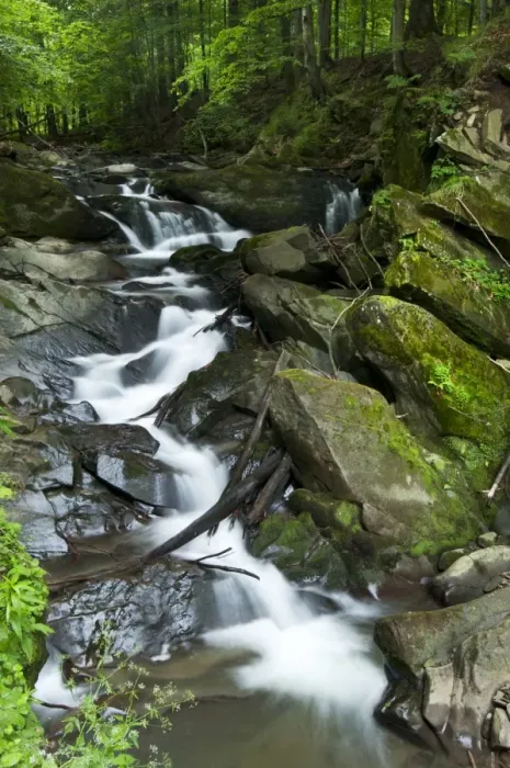 Framed Print : Waterfall in forest habitat, Bieszczady N. P. Bieszczady Mountains, Outer Eastern Carpathians, Poland, June Framed Print : Waterfall in forest habitat, Bieszczady N. P. Bieszczady Mountains, Outer Eastern Carpathians, Poland, June
