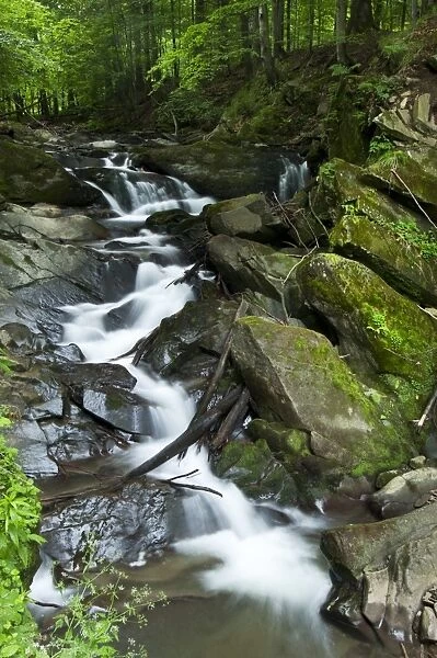 Waterfall in forest habitat, Bieszczady N. P. Bieszczady Mountains, Outer Eastern Carpathians, Poland, June