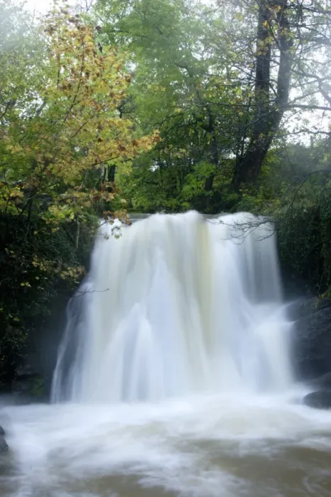 Framed Print : Waterfall after heavy rainfall, Janets Foss, Gordale Beck, Malhamdale, Yorkshire Dales N. P Framed Print : Waterfall after heavy rainfall, Janets Foss, Gordale Beck, Malhamdale, Yorkshire Dales N. P