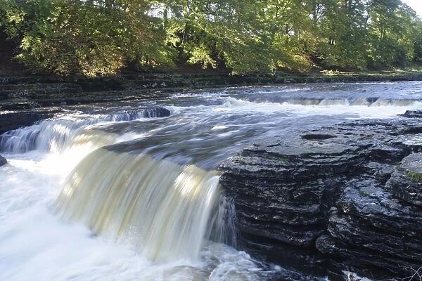 Waterfall (Middle Falls) on River Ure, Aysgarth Falls, Aysgarth, Wensleydale, Yorkshire Dales N. P