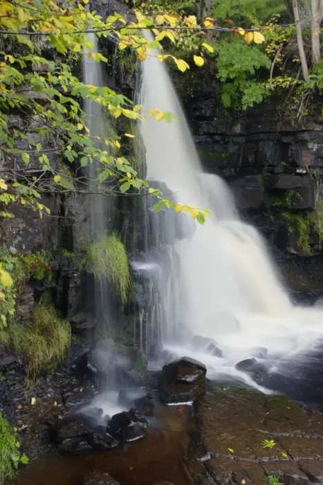 Framed Print : Waterfall on stream in woodland, East Gill Force, Keld, Swaledale, Yorkshire Dales N. P Framed Print : Waterfall on stream in woodland, East Gill Force, Keld, Swaledale, Yorkshire Dales N. P