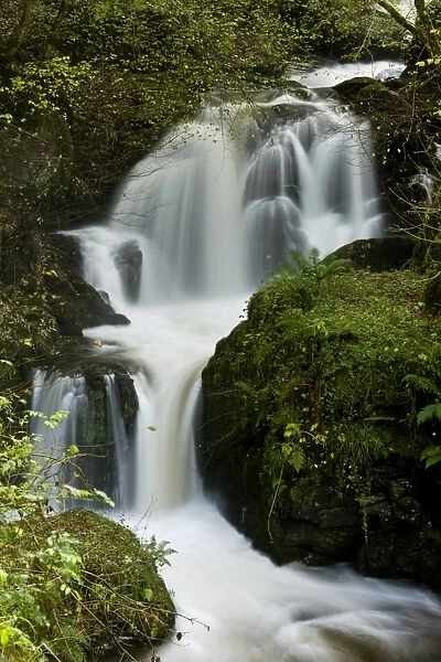 Waterfalls and rapids on river flowing through woodland, Farley Water (Hoar Oak Water), above Watersmeet, Exmoor N. P
