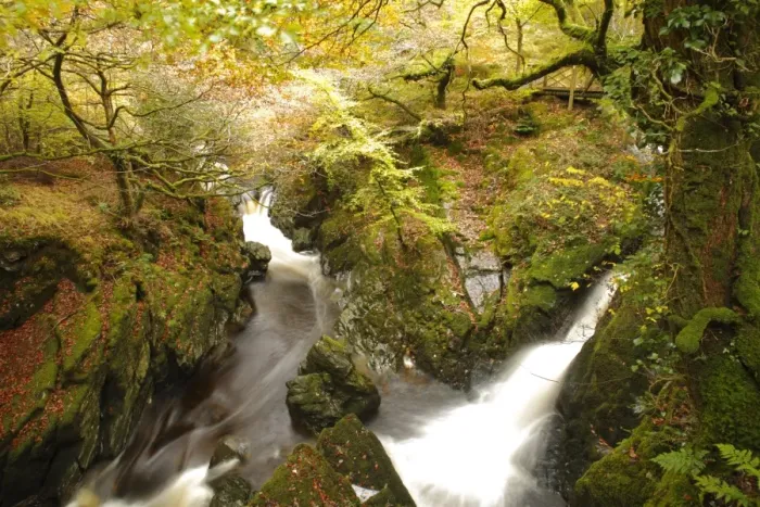 Framed Print : Waterfalls on river in woodland habitat, River Ystwyth, The Hafod, near Pontrhydygroes, Ceredigion, Wales, october Framed Print : Waterfalls on river in woodland habitat, River Ystwyth, The Hafod, near Pontrhydygroes, Ceredigion, Wales, october