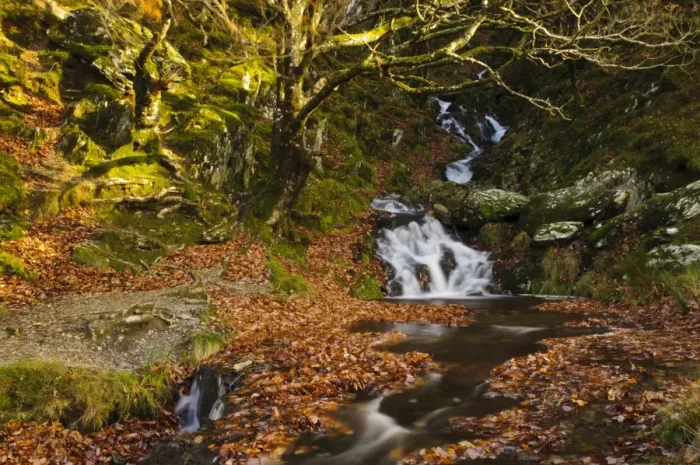 Framed Print : Waterfalls on stream Nant Dolfolau tumbling down hillside into Garreg Ddu Reservoir, Elan Valley, near Rhayader, Powys Framed Print : Waterfalls on stream Nant Dolfolau tumbling down hillside into Garreg Ddu Reservoir, Elan Valley, near Rhayader, Powys