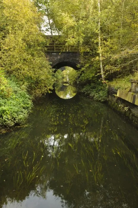 Framed Print : Waterway flowing under railway bridges, Mother Drain, Potteric Carr Nature Reserve, South Yorkshire, England, October