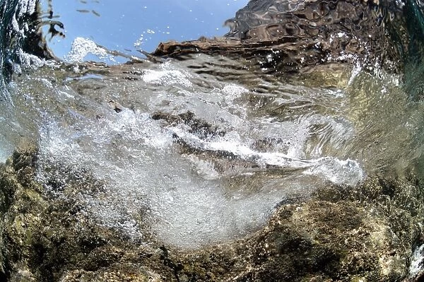 Wave breaking on rocky ledge underwater, Pondfield Cove, Isle of Purbeck, Dorset, England, July