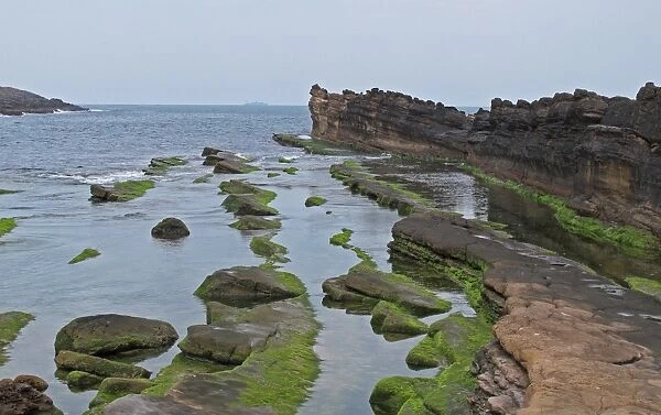 Wave-cut platform at base sea cliff, Yehliu Geopark, Yehliu Promontory, Taiwan, April
