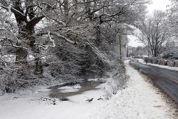 Wayside pond with ice and snow on lane, between Broad Oak and Mayfield, East Sussex, England, January