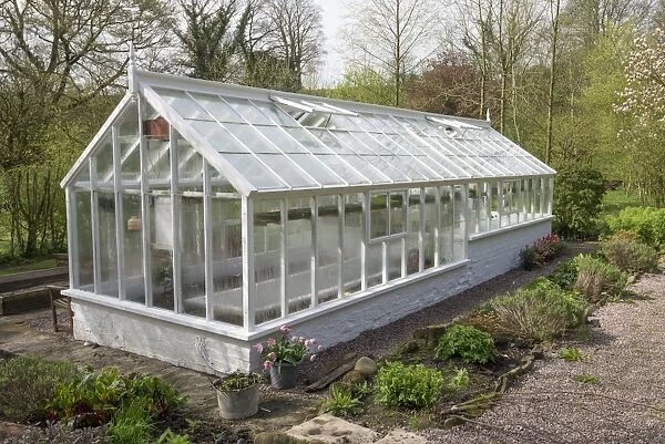 White greenhouse in garden, Chipping, Lancashire, England, April