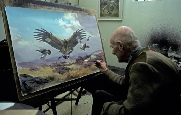 Framed Print : Wildlife artist J. C. Harrison (Jack) painting a Golden Eagle hunting Red Grouse Framed Print : Wildlife artist J. C. Harrison (Jack) painting a Golden Eagle hunting Red Grouse
