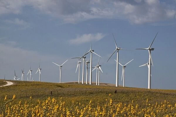 Wind turbines Andalusia Spain