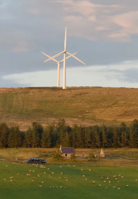 Framed Print : Wind turbines on hill, with cattle on hillside, ruined building and sheep on pasture in foreground, Lammermuir Hills Framed Print : Wind turbines on hill, with cattle on hillside, ruined building and sheep on pasture in foreground, Lammermuir Hills