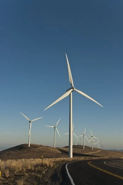 Wind turbines beside road, Wild Horse Wind Facility, Vantage, Washington, U. S. A. october