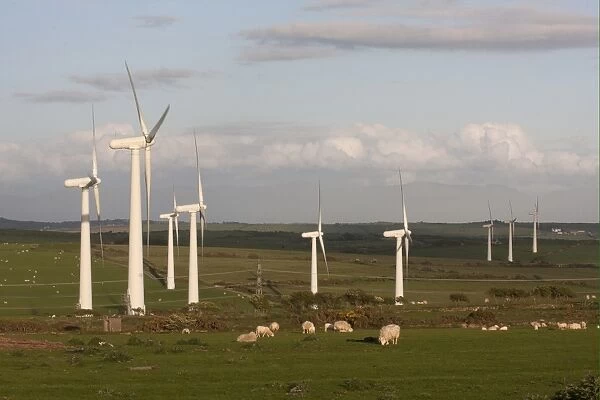 Wind turbines on windfarm, with sheep grazing in foreground, between Mynydd Mechell and Llanddeusant, Anglesey, Wales