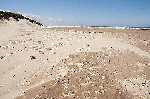 Windblown sand on beach and sand dunes, Bamburgh, Northumberland, England, july