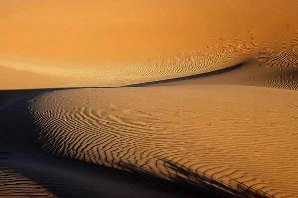 Windblown sand patterns on dunes, Sossusvlei, Namib-Naukluft N. P. Namib Desert, Namibia