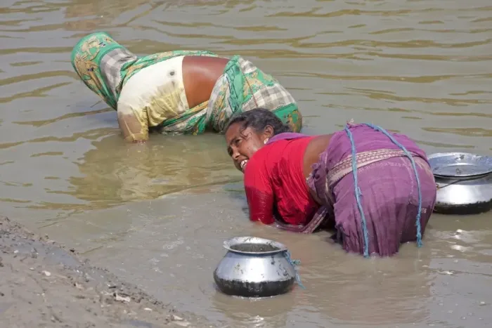 Framed Print : Woman subsistence fishing by touch of hand, Sundarbans, Ganges Delta, West Bengal, India, March Framed Print : Woman subsistence fishing by touch of hand, Sundarbans, Ganges Delta, West Bengal, India, March