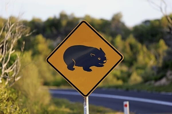 Wombat crossing road sign, Wilsons Promontory N. P. Victoria, Australia, November