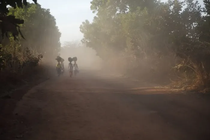 Framed Print : Women carrying goods for market on heads, walking on dusty dirt road, Gambia Framed Print : Women carrying goods for market on heads, walking on dusty dirt road, Gambia
