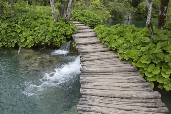 Framed Print : Wooden boardwalk at edge of lake, Plitvice Lakes N. P. Croatia, July Framed Print : Wooden boardwalk at edge of lake, Plitvice Lakes N. P. Croatia, July