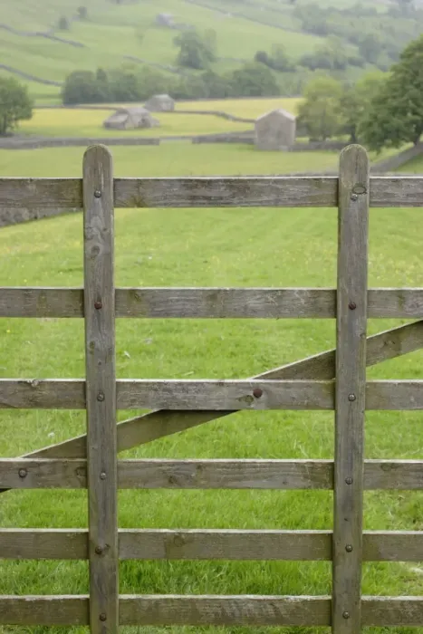 Framed Print : Wooden gate in foreground, with stone barns and drystone walls on hillside in background, Swaledale Framed Print : Wooden gate in foreground, with stone barns and drystone walls on hillside in background, Swaledale
