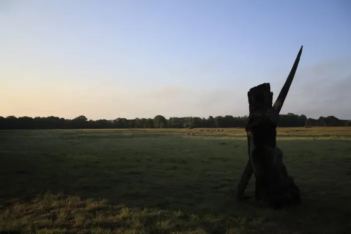 Framed Print : Wooden sculpture silhouetted on rough pasture and acid grassland habitat at dawn, Little Ouse Headwaters Project