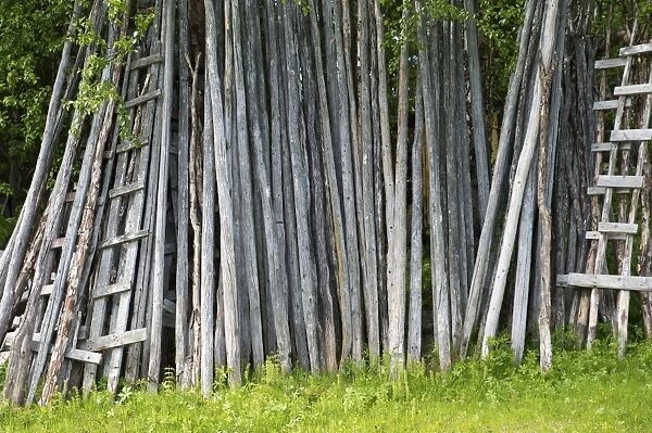 Wooden stakes for hay, Lappland, Sweden, June
