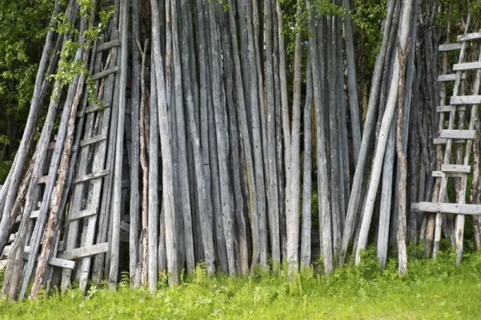 Framed Print : Wooden stakes for hay, Lappland, Sweden, June Framed Print : Wooden stakes for hay, Lappland, Sweden, June