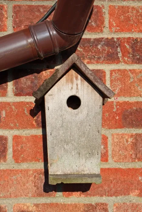 Framed Print : Wooden tit nestbox, attached to brick wall in garden, Mendlesham, Suffolk, England, january Framed Print : Wooden tit nestbox, attached to brick wall in garden, Mendlesham, Suffolk, England, january